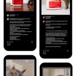 PAWAii Announces Early Bird Discounts On The PAWAii Caremi Mobile Smart Pet Water Fountain