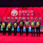 Xinhua Silk Road: Monk fruit industry in south China’s Guilin presents high-quality development momentum
