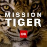 B.Grimm partners with CNN to create awareness around tiger conservation and environmental protection
