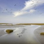 CGTN: Yellow River Culture Forum zeroes in on cradle of Chinese civilization