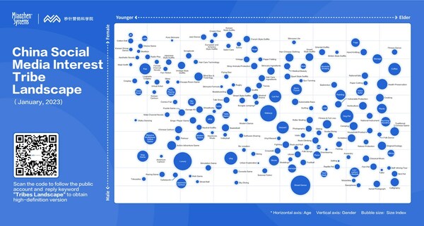 China Social Media Interest Tribe Landscape