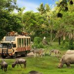 Discover the Thrill of Bali Safari Park and Save with Our School Holiday Promo
