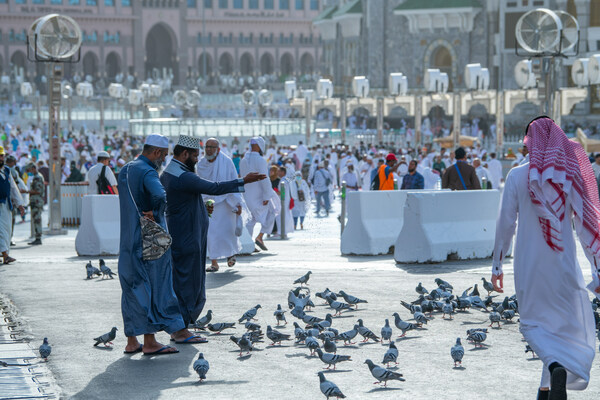 The crowd of pilgrims experience a feeling of comfort as they gather at the holy sites The crowd of pilgrims experience a feeling of comfort as they gather at the holy sites