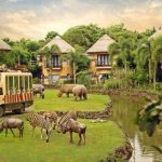 Unleash the Magic of Bali Safari: Your Ultimate Summer Holiday Adventure