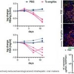 Best Presentation Award at EASL Congress 2023: First-in-class Bispecific Antibodies Anti-HBs×CD3 and Anti-HBs×CD28 Showed Strong Preclinical Efficacy in HBV Cure