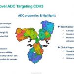 BioCity announces the first patient dosed with its first-in-class CDH3-targeting ADC BC3195 in a Phase 1 Trial