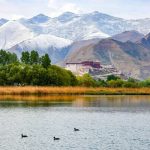 Forum highlights resounding success of Tibet’s development
