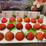 Guangdong litchi woos Singaporean consumers