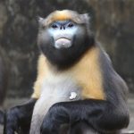Guizhou: A Place To Embrace Mountains and Creatures