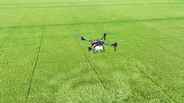 XAG P100 Pro Agricultural Drone flying over a rice field in Vietnam XAG P100 Pro Agricultural Drone flying over a rice field in Vietnam