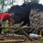 Elephant and calf terrorising Orang Asli community in Pos Lebir