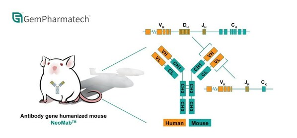 The Humanization Strategy of NeoMab™ Model The Humanization Strategy of NeoMab™ Model