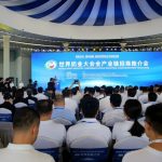 WDIC Investment promotion event secures contracts worth 208b yuan