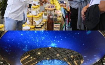 Agri high-tech fair to be held in China’s agri sci-tech hub Yangling