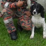 Blake, valiant canine sniffer of Batang Kali landslide search, dies