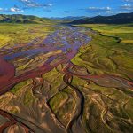 Flourishing flora and fauna a great example of Qinghai’s ecological efforts