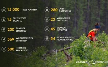 LILYSILK’s Environmental Milestone: 15,000 Trees Planted in Collaboration with One Tree Planted in Brazil Reforestation Project