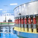 Shandong’s Zaozhuang: Pioneering Remarkable Advancements in the Pomegranate Industry
