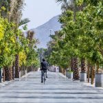 The City of Madinah launches first-of-its-kind “Guide to Madinah experiences”