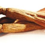 The Korean Society of Ginseng confirms the effects of consuming red ginseng in the prevention and improvement of dementia