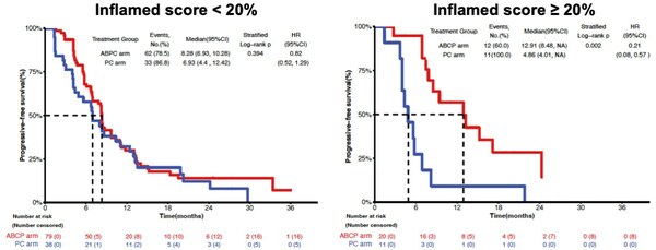 Lunit SCOPE IO demonstrated that the patient group with an Inflamed Score of 20% or higher showed longer Progression-free survival when treated with ABCP arm Lunit SCOPE IO demonstrated that the patient group with an Inflamed Score of 20% or higher showed longer Progression-free survival when treated with ABCP arm