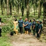 Musim Mas Achieves ISPO Certification for All Upstream Operations, Commits to Sustainable Palm Oil