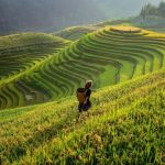 REALM Events Paves Way for Sustainable Supply Chains through Innovative Partnerships