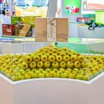The 21st International Fruit Vegetable Food Expo came to a successful conclusion