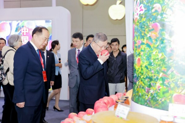 Chongquan, the President of China Society for World Trade Organization Studies, and guests, were appreciating Qixia apples at the Qixia Exhibition Hall. Chongquan, the President of China Society for World Trade Organization Studies, and guests, were appreciating Qixia apples at the Qixia Exhibition Hall.