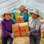 Xinhua Silk Road: E.China’s Tengzhou hosts potato expo to seek opening-driven development