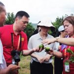 Xinhua Silk Road: Orah mandarins in Guangxi’s Xingbin District poised to enter overseas markets