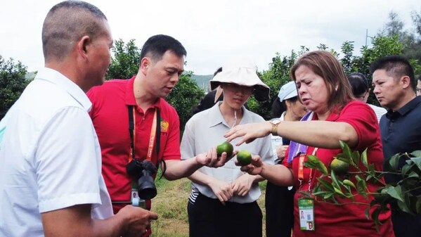 The photo shows the Marketing Director (lady in red on the right) of Raspina Tropical Fruits Inc. from the Philippines visiting Wanmao Modern Orah Mandarin Base and formalizing a cooperation agreement for orah mandarin procurement. The photo shows the Marketing Director (lady in red on the right) of Raspina Tropical Fruits Inc. from the Philippines visiting Wanmao Modern Orah Mandarin Base and formalizing a cooperation agreement for orah mandarin procurement.