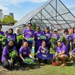 <strong>FedEx Wraps Up Four-Month Local Vegetable Farming Program to Nurture Healthier Urban Communities  </strong>