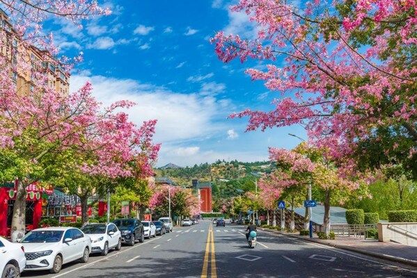 The streets of Panzhihua are adorned with blooming flowers throughout all four seasons. The streets of Panzhihua are adorned with blooming flowers throughout all four seasons.