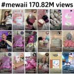Mewaii by Starpony: Pioneering the Next Wave in the Toy Market