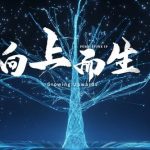 PurpleVine Celebrates Five Years of Growth and Innovation