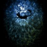 The Nature Conservancy Announces 2023 Photo Contest Winners