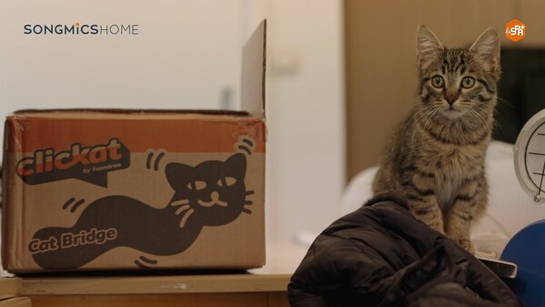 Clickat Collection & A Cat Clickat Collection & A Cat