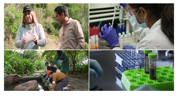 CNN’s ‘Vital Signs’ explores the prospects of phage therapy to treat drug-resistant superbugs CNN’s ‘Vital Signs’ explores the prospects of phage therapy to treat drug-resistant superbugs