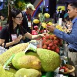 Featured products of many countries appeared at the 2023 China (Hainan) Winter Trade Fair