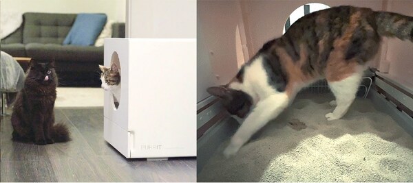 Spacious SCUBIC Self-Cleaning Litterbox Spacious SCUBIC Self-Cleaning Litterbox