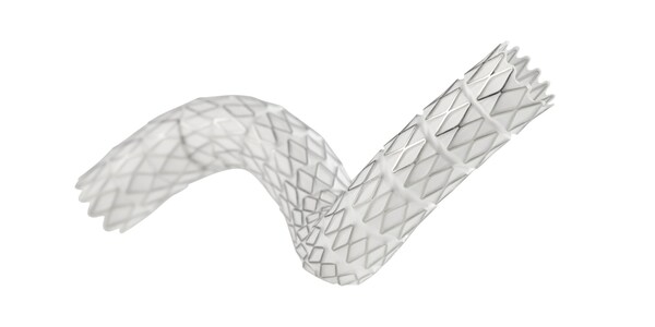 GORE® VIABAHN® VBX Balloon Expandable Endoprosthesis GORE® VIABAHN® VBX Balloon Expandable Endoprosthesis