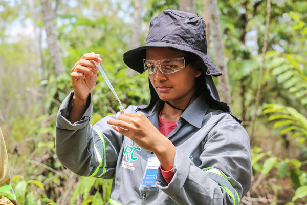 A researcher for BRC (BrazilNorway Biodiversity Research Consortium) collecting field samples to support understanding of biodiversity in the Hydro Paragominas area. (Source: Hydro) A researcher for BRC (BrazilNorway Biodiversity Research Consortium) collecting field samples to support understanding of biodiversity in the Hydro Paragominas area. (Source: Hydro)