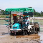 Agriculture Ministry, with help from MyCC, to investigate rice cartel claims