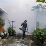 11 deaths due to dengue in Sabah