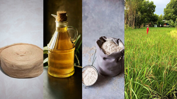 Allied Food Crops supply seed meal to bakeries and noodle makers, seed oils that replace soy, cottonseed, and olive oils; for cosmetics, soap, and chocolates, as well as fibres for livestock feed, building materials - and more. Allied Food Crops supply seed meal to bakeries and noodle makers, seed oils that replace soy, cottonseed, and olive oils; for cosmetics, soap, and chocolates, as well as fibres for livestock feed, building materials - and more.