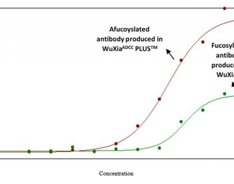 WuXi Biologics Launches WuXia ADCC PLUS™ for the Development and ...