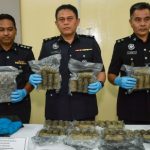 Police bust drug syndicate with arrest of four, seizure of 15.28 kg of cannabis in Hulu Selangor