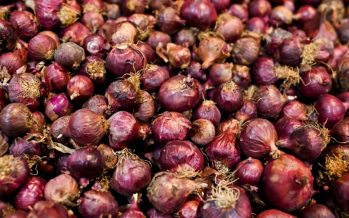 Malaysia on track to reduce dependency on imported red onions
