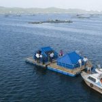 University of Technology Sydney (UTS) collaborates with Vietnamese university researchers to create water monitoring solution for aquaculture